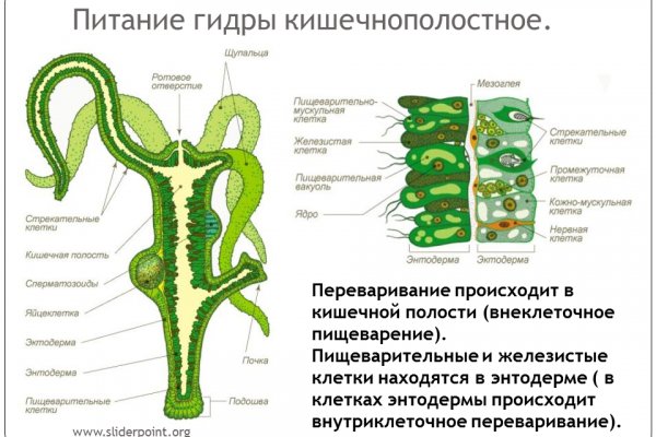 Darknet онлайн